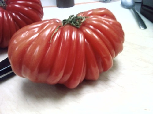 weird-tomato-3
