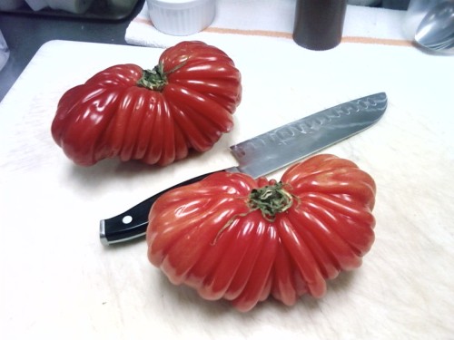 weird-tomatoes-1